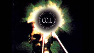 Coil - Finite Bees