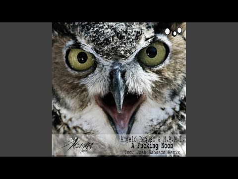 A Fucking Noob (Original Mix)