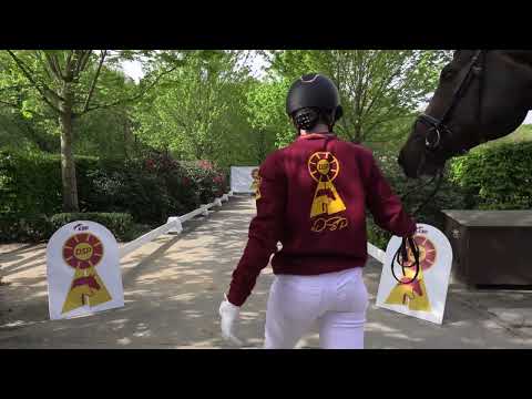 DSP-HF v.03.03.2024 v. Follow Him's Schönweide-Feedback