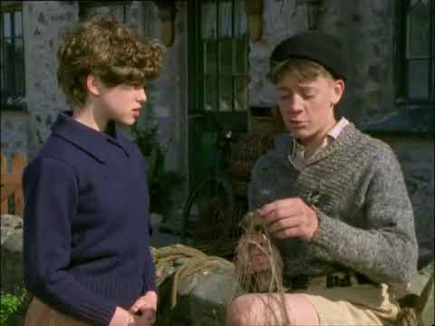 Fünf Freunde - Erforschen Die Schatzinsel