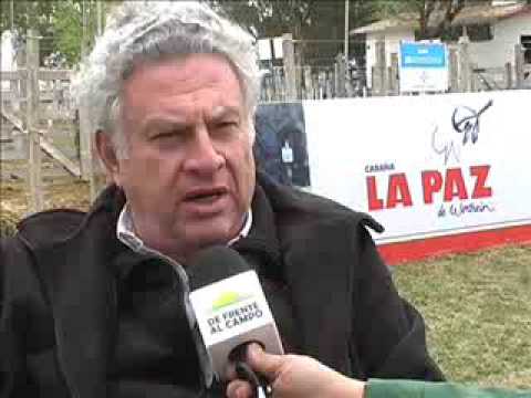 Remate Los Robles, La Paz de Werthein