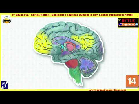 Tv Educativa   Cortes Netflix   Explicando a Beleza Dublado e com Legendas Hipoacusia Netflix Corte 10