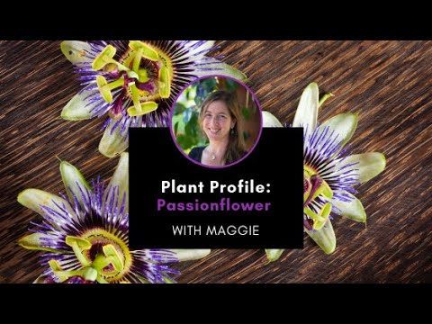 Plant Profile: Passionflower with Maggie
