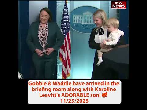 TURKEY TIME: Karoline Leavitt’s adorable son; April Ryan yelling; Chicago Mayor: jail it's racist