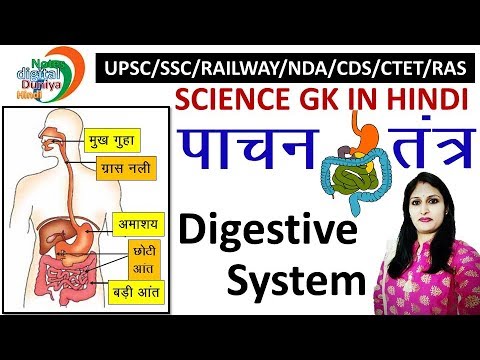 पाचन तंत्र | Digestive System | Science Gk | Gk in Hindi | Science | Gk | SSC | Gk Hindi Video