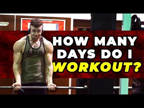 How Many Days Per Week I Workout To Maintain My Physique