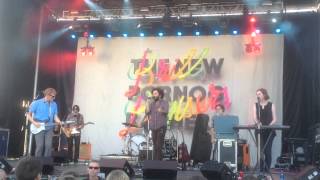 Testament To Youth In Verse - The New Pornographers (Live)