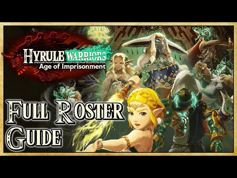 How to Play EVERY CHARACTER in Hyrule Warriors: Age of Imprisonment | Warriors Dojo