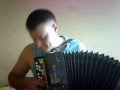 Сектор Газа - Взял вину на себя (кавер на баяне) 