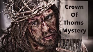 Crown Of Thorns Mystery REVEALED!