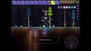 Terraria _Suspicious looking skull