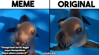 Download lagu Anjing Laut Tetapi Hari Di Jogja Saya SampAkan Lawan Meme Vs. mp3 Download lagu Anjing Laut Tetapi Hari Di Jogja Saya SampAkan Lawan Meme Vs. mp3
