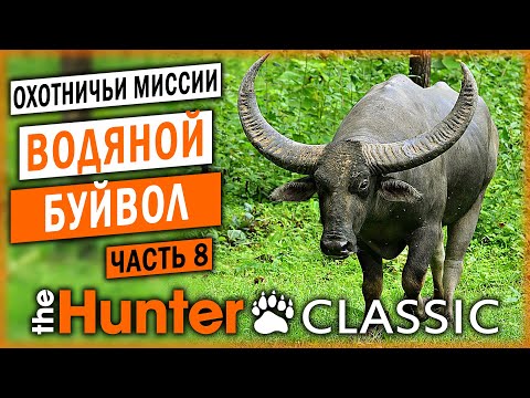 ОХОТА НА ВОДЯНОГО БУЙВОЛА! | Охотничьи Миссии | theHunter Classic 🐻 | (часть 8)
