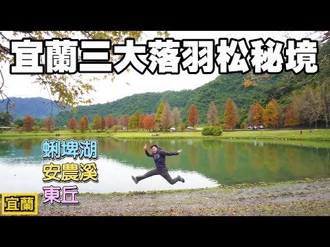 ¡Las tres grandes áreas inexploradas de pinos que caen de Yilan se están convirtiendo gradualmente en un país de hadas de pinos que caen! | Lago Shubu, Área secreta del pino perdido del río Annong, Parque deportivo de Luodong Pino caído de East Hill | Lugar panorámico de Yilan, Lugar panorámico del pino caído de Yilan Sho, Lugar panorámico de Yuanshan, Lugar panorámico de Sanxing, Lugar panorámico de Luodong
