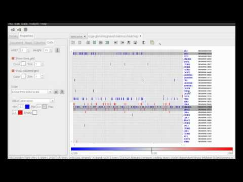 Gitools: Find and visualize mutual exclusive gene alterations