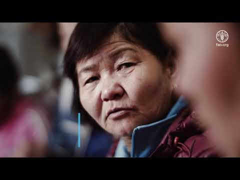 Mongolia Vegetable Value Chains