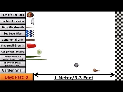 Speed Comparison 3: Slower than Snail