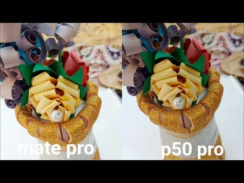 Huawei mate 50 pro vs Huawei p50 pro camera test