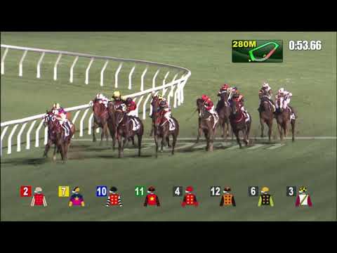 25/5/2022 (697) Regency Poet - H Bentley