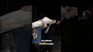 Download lagu The Mystery of the Dead Horse🥶👿 #horse #bull #heavy mp3 Download lagu The Mystery of the Dead Horse🥶👿 #horse #bull #heavy mp3