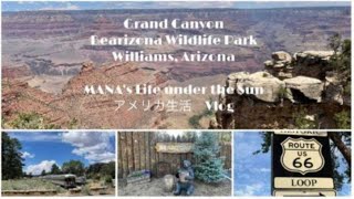 [Vlog] グランドキャニオン / Bearizona Wildlife Park / Williams