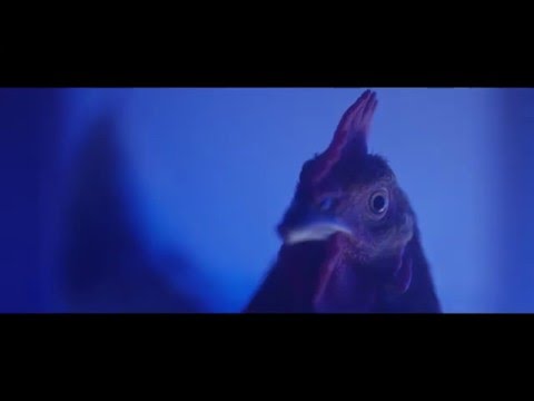 El Fother "Flippin Chickens" Video Official {Top Dollar Ent}
