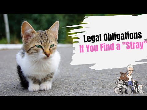 Episode 56: Your Legal Obligations If You Find a Stray Animal