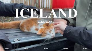 Overstimulated in Reykjavík | (Swiss-German with English Sub.)