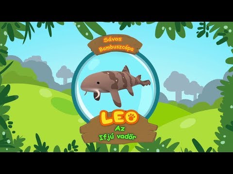 Leo az ifjú vadőr - A sávos bambuszcápa