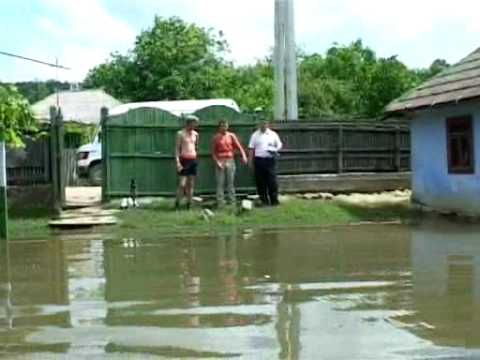 download lagu mp3 mp4 Gheorghe Mocan, download mp3 Gheorghe Mocan free download, download mp3 Gheorghe Mocan