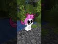 Axolotl Minecraft Animation Rabbit Bunny