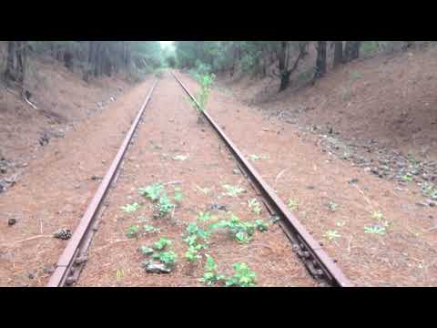 108CAM's Abandoned Railway Exploration Series Episode 2: Exploring the Cresco Siding in Hastings