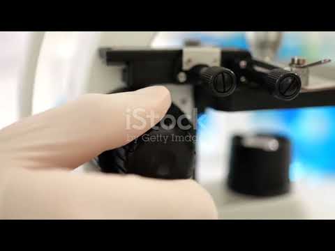 APGLO Lợi ích của viên kẹo ngậm DNA tế bào gốc tốt cho sức khỏe.