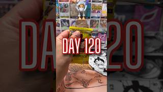 Treasure or trash! Day 120 #packopening #onepiececardgame #onepiece #tcgcommunity #onepiecetcg #tcg
