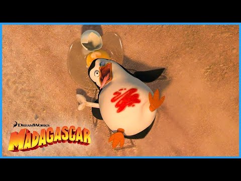 Operation Tourist Trap 🐧 | DreamWorks Madagascar
