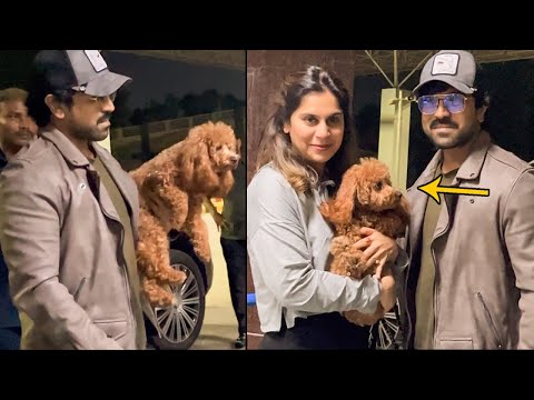 Ramcharan & Upasana Latest CUTE Visuals With Their Pet Dog Rhyme at Airport | Wall Post