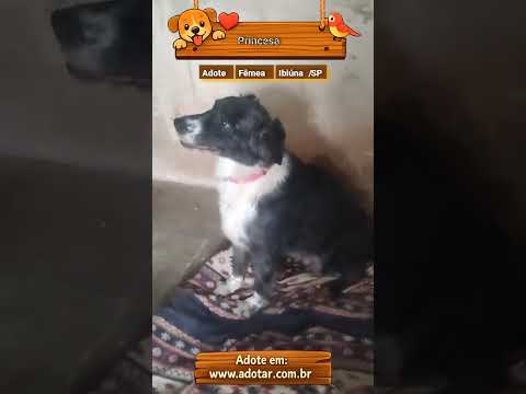 Vídeo de Princesa 