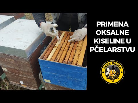 Oksalna kiselina u pčelarstvo, zašto, kako i kad - Pčelarstvo 2022