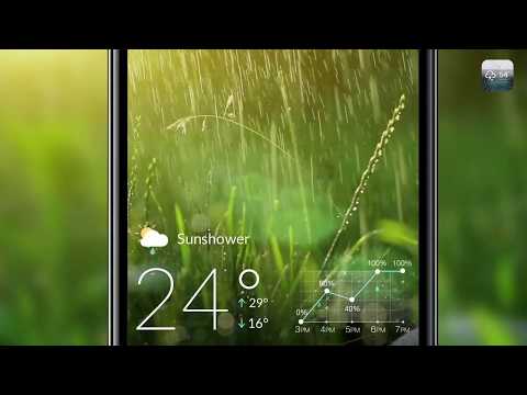 Weather Forecast Video