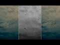 Yaayum Song Lyrics Sagaa Remix Tag Yourself Trending Whatsapp Status Tamil