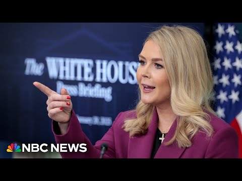 White House says Trump deportation focus is not just for violent criminals