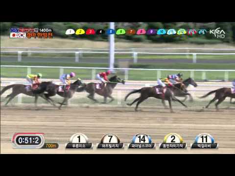 SBS Korea Japan Goodwill Cup 2013