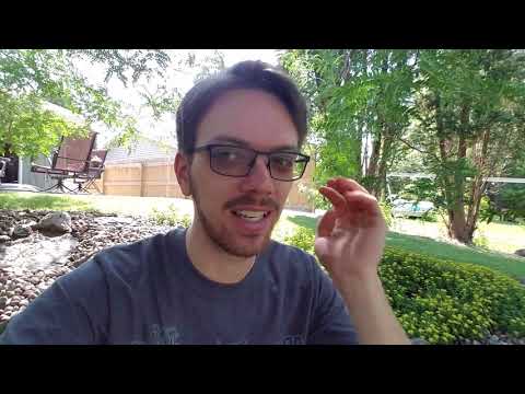 I'm Moving To Florida!! *Special Announcement*