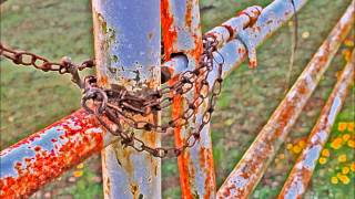 Jerry Jeff Walker &amp; Willie Nelson   Man with the Big Hat