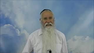 (חלק ב) ארגז כלים יהודי. לשליטה עצמית. - הרב חיים קמרי - פרשת נצבים - שיעור פ - פרשת השבוע