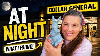 I Went to Dollar General at Night… I Wasn’t Expecting This