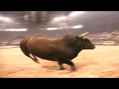 Team Equine's Evil Forces - 05 PBR Finals