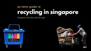 An Intro Guide to Recycling in Singapore