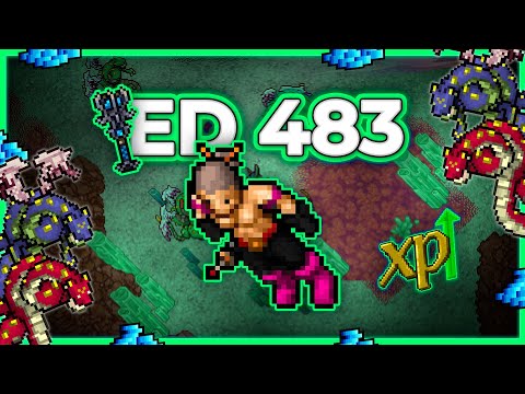 ED 483 + RP Hunt Duo Salt Caves (Bashmu) 2.9kk/h Raw + 1.5kk Profit - Tibia Hunt #tibia #tibiahunt