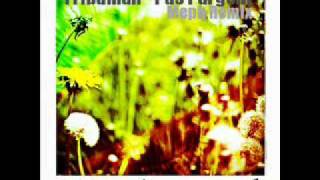 Volfoniq & Tribuman - Pas l'argent [Meph Remix]